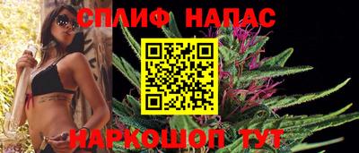 Альфа ПВП Кингисепп