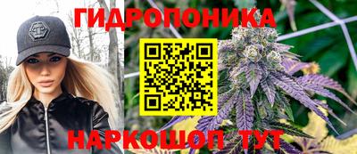 Альфа ПВП Кингисепп